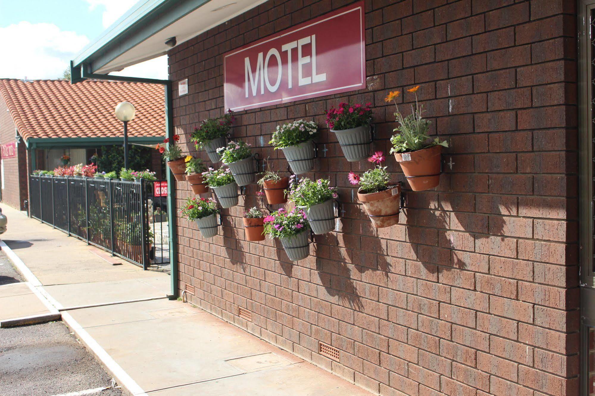 Pavlos Motel Ingle Farm Екстериор снимка